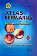 Atlas berwarna : teknik pemeriksaan kelainan telinga hidung tenggorok